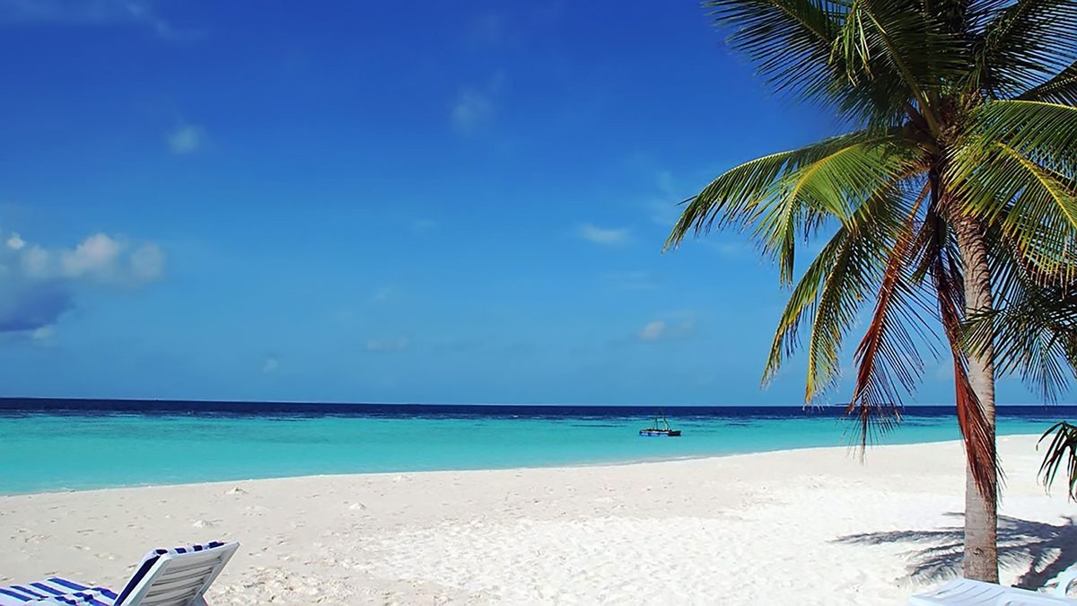 #尼康Z8# 我与尼康相机的情缘