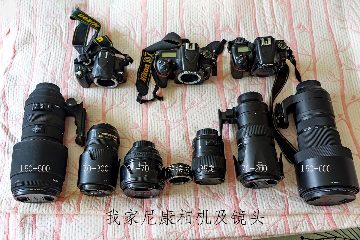 #尼康Z8# 我与尼康相机的情缘