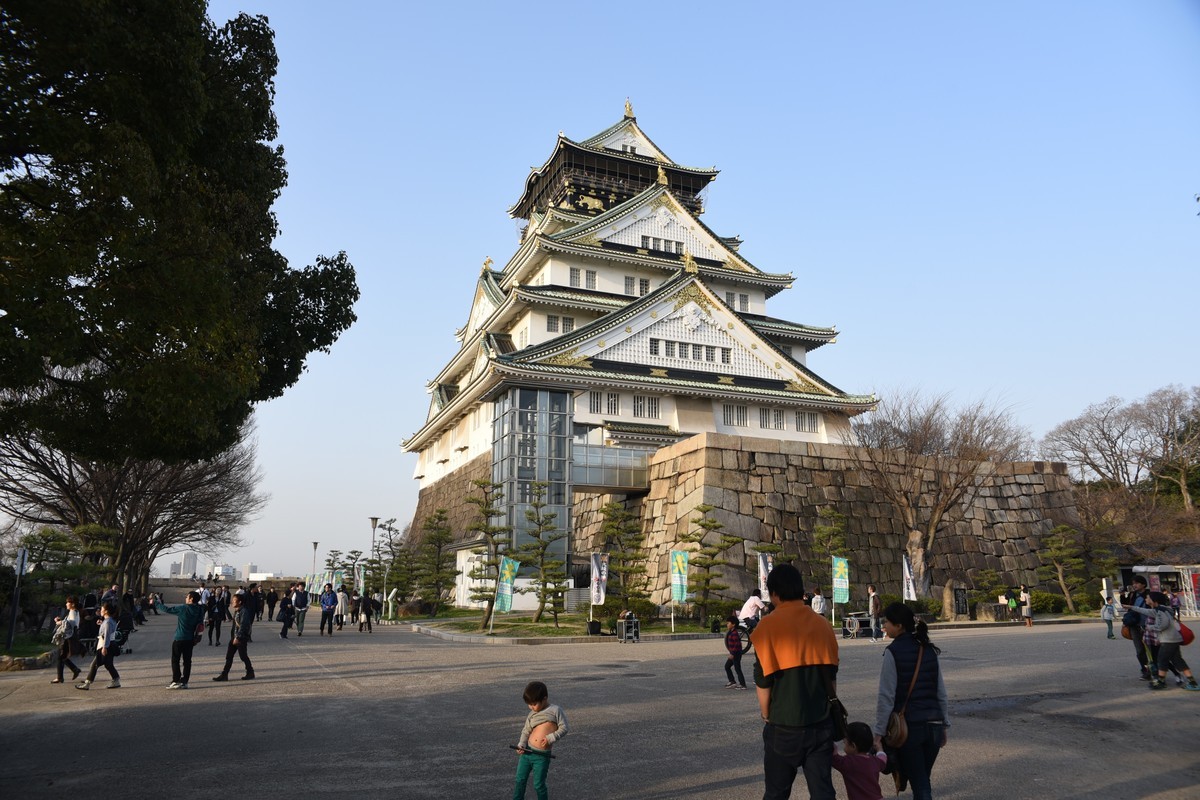 #尼康Z8# 我与尼康相机的情缘