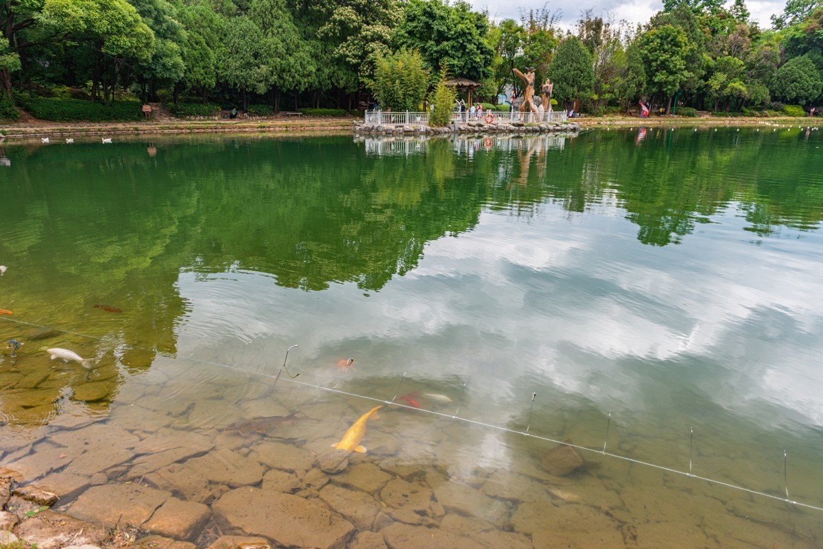 自驾游20230502沙溪古镇、蝴蝶泉