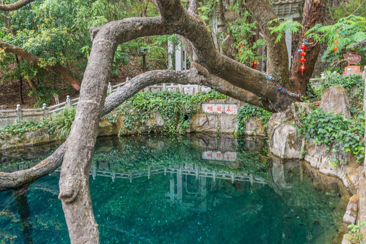 自驾游20230502沙溪古镇、蝴蝶泉