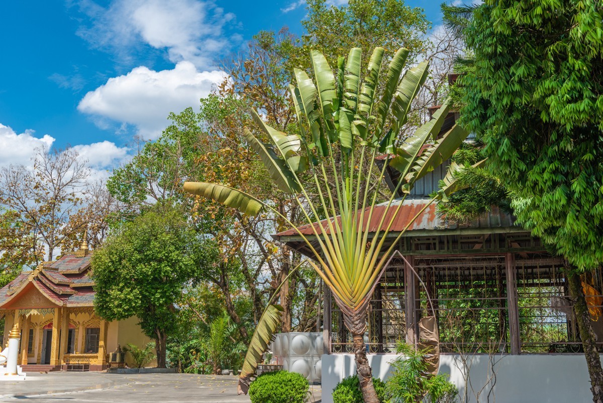 自驾游20230505南甸宣抚司府、姐告金塔、一国两寨