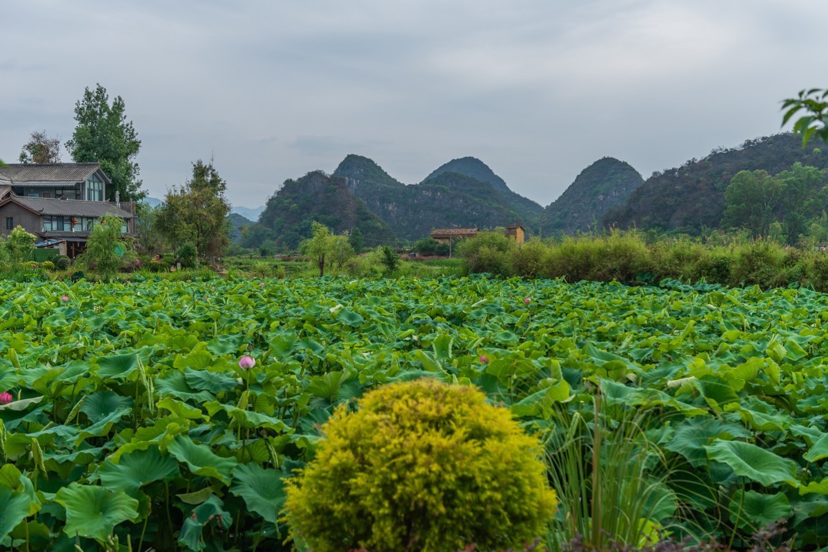 自驾游20230514普者黑