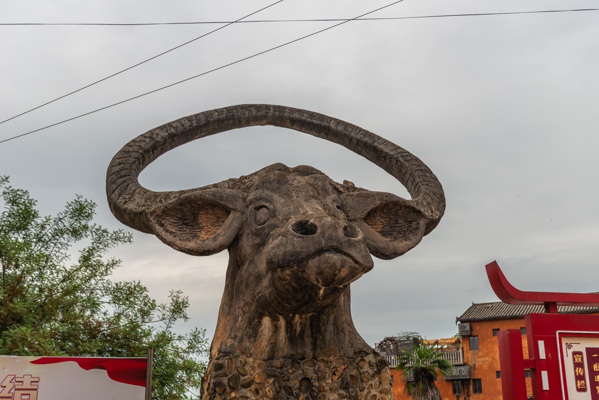 自驾游20230514普者黑