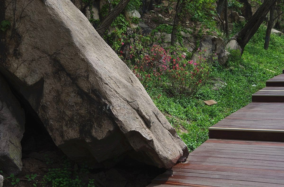 青岛太平山绿道-15P