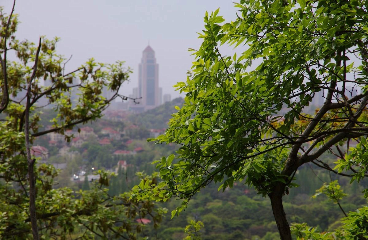 青岛太平山绿道-15P