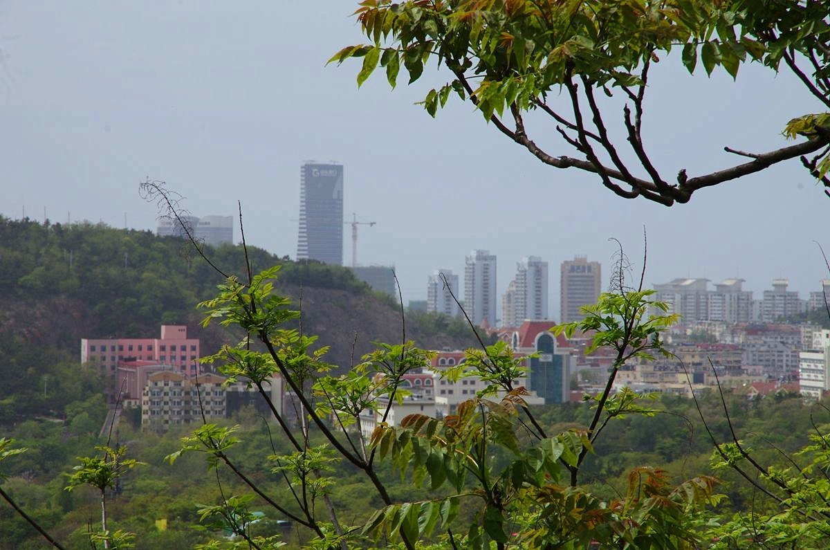 青岛太平山绿道-15P