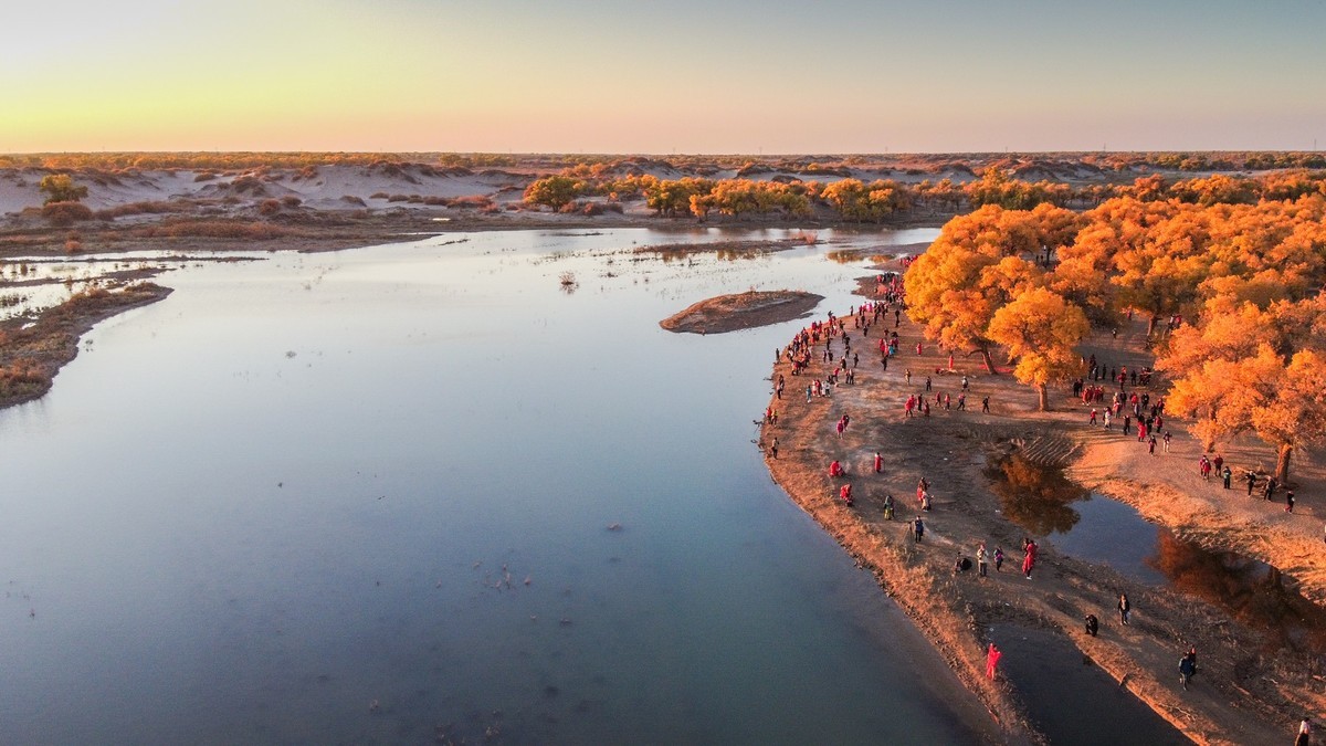 鸟瞰额济纳胡杨林二道桥
