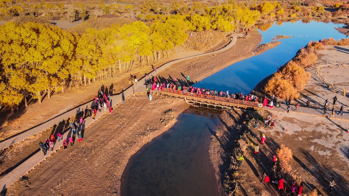 鸟瞰额济纳胡杨林二道桥