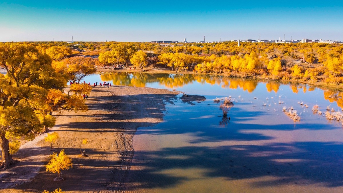 鸟瞰额济纳胡杨林二道桥