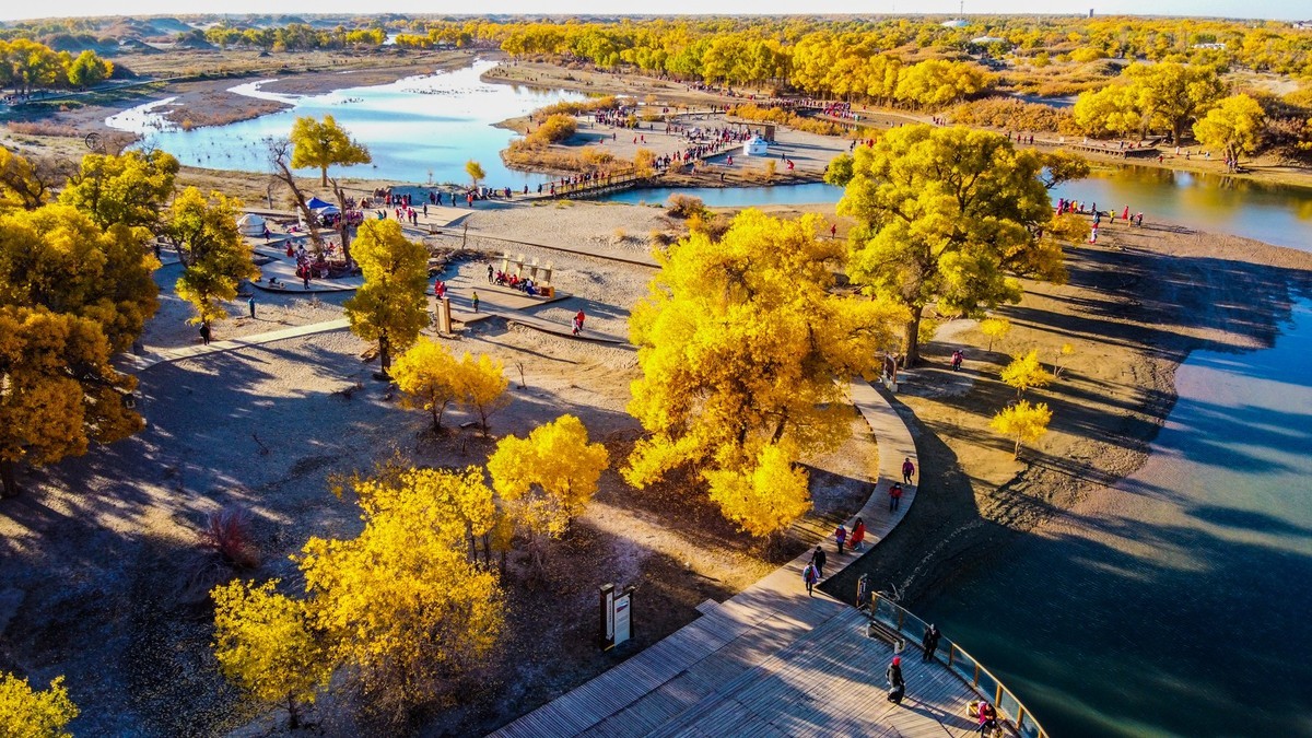鸟瞰额济纳胡杨林二道桥
