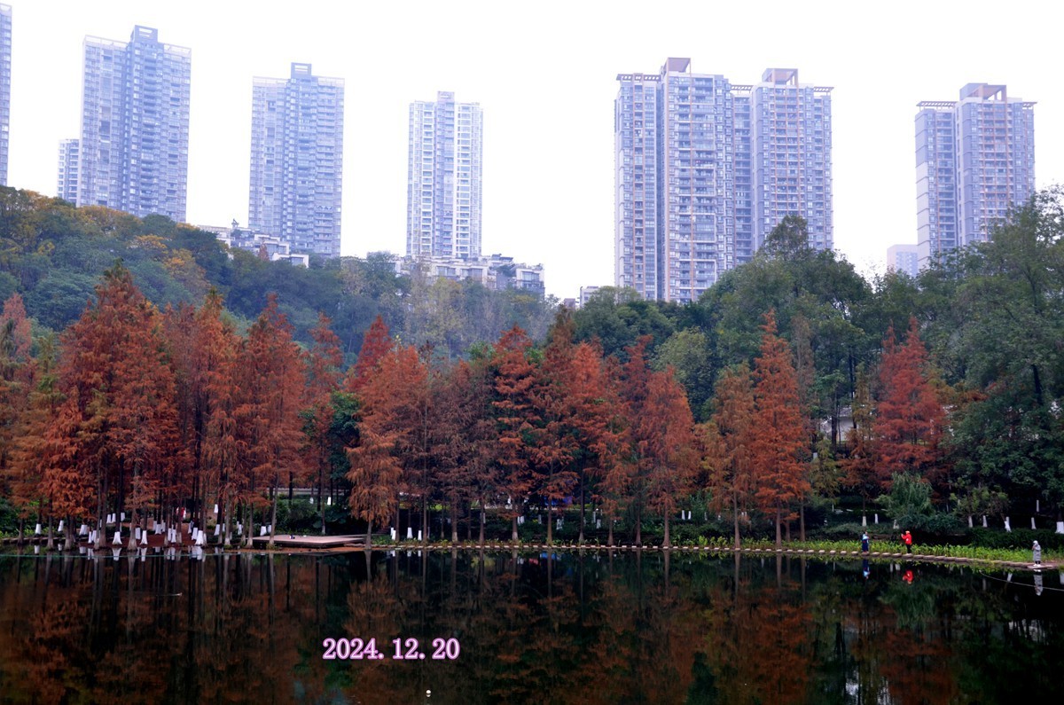 冬季彩云湖湿地公园(一)