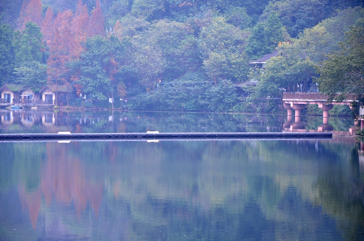 冬季彩云湖湿地公园(一)