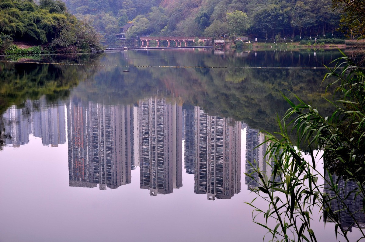 冬季彩云湖湿地公园(一)