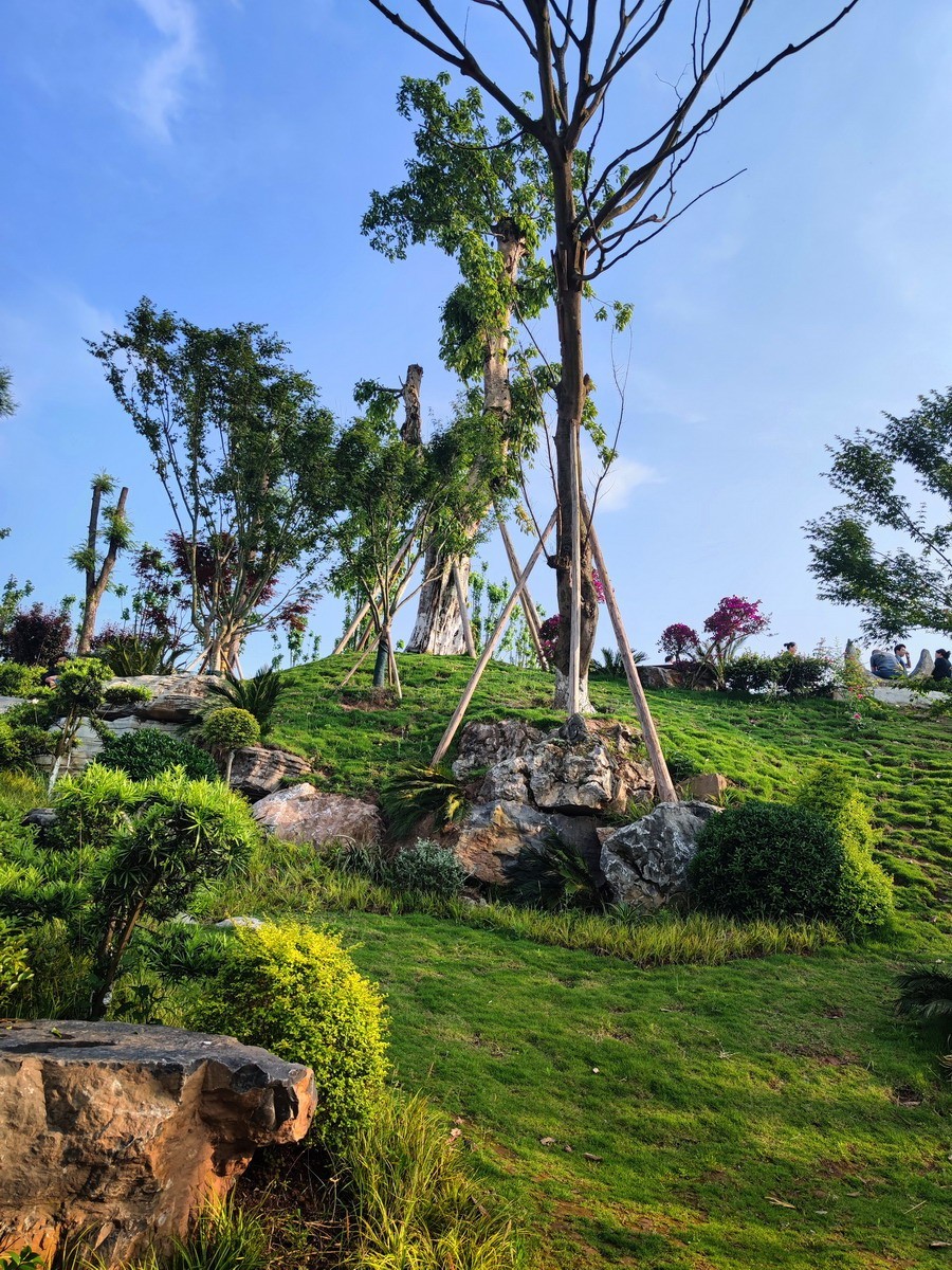 玉泉湖公园小景（第一集）——11P