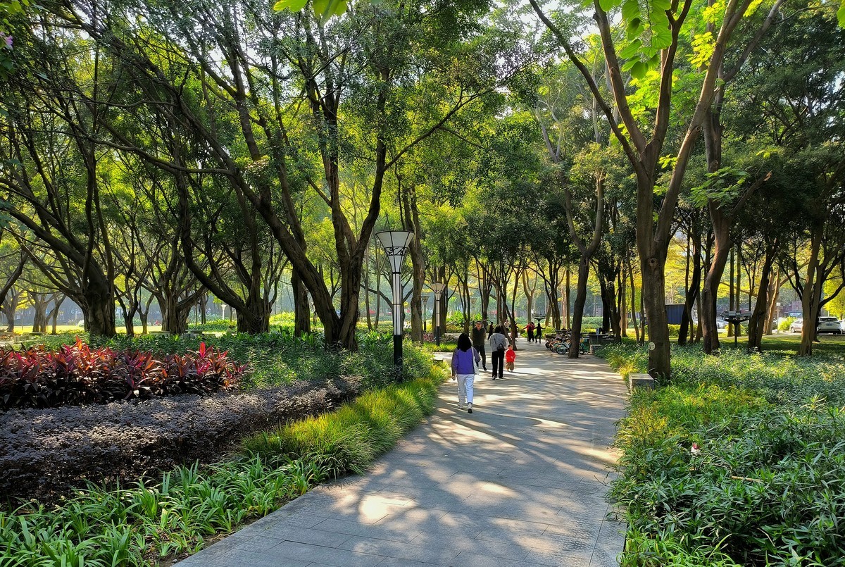 佛山新绿地。