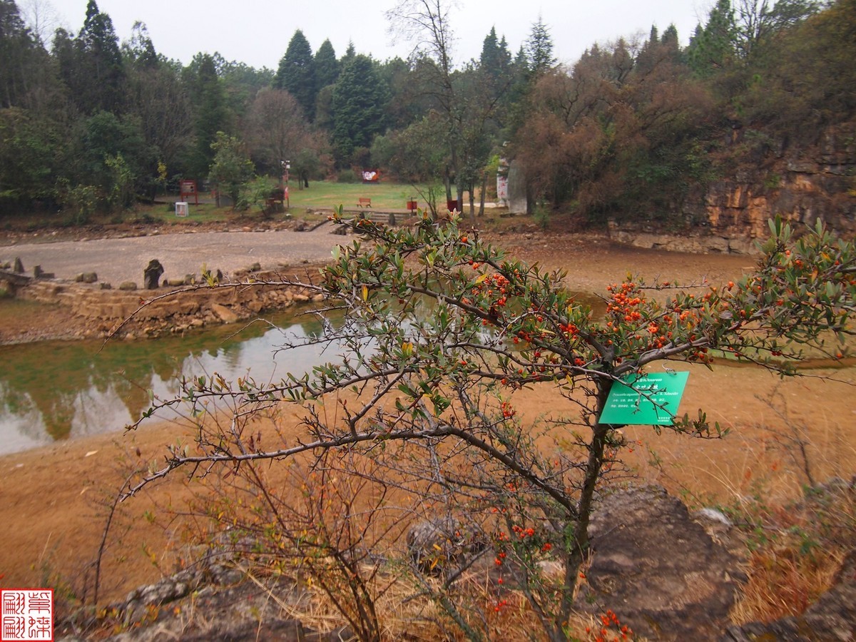 2023.12.22坝美随拍（11）