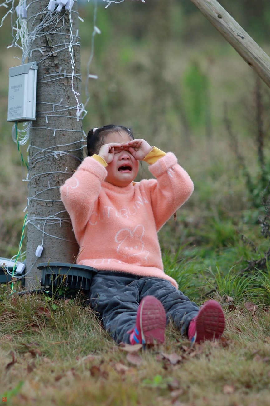 #拜年帖#缙云山金刚碑(5)