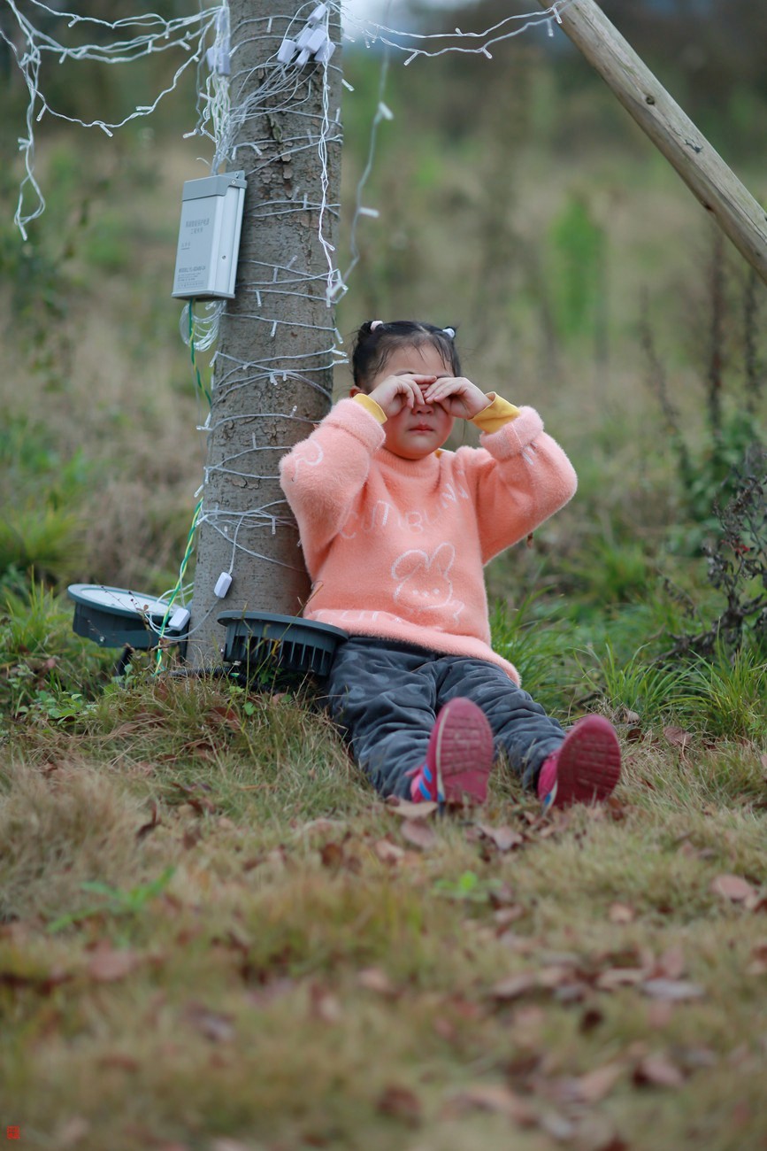 #拜年帖#缙云山金刚碑(5)