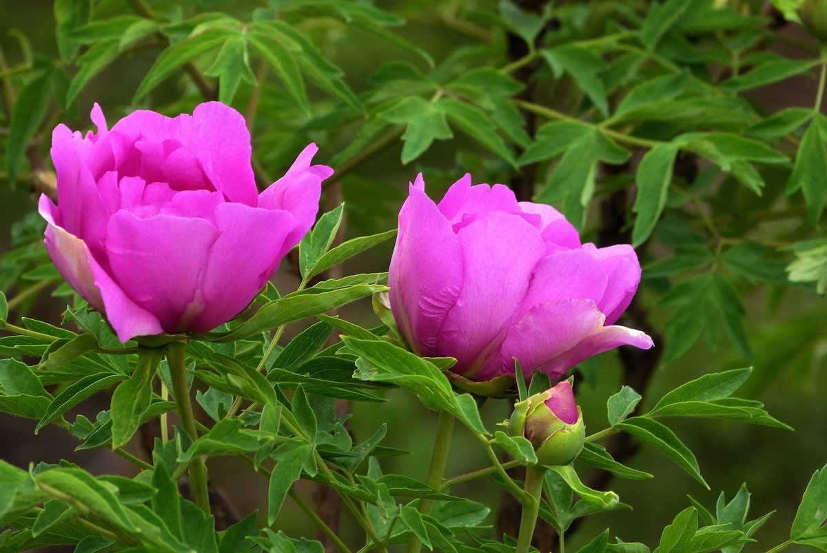 来松下FZ28星空(中国)看看！