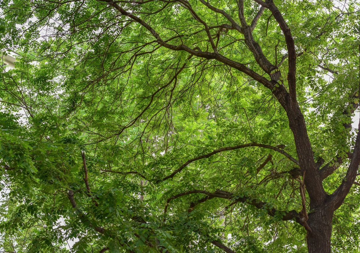 尼康D810+尼康50f1.8，效果极好