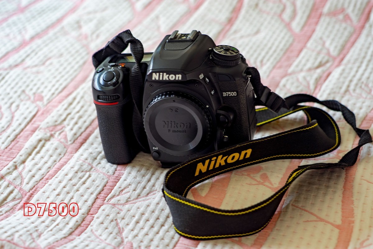 #尼康Z8# 我与尼康相机的情缘