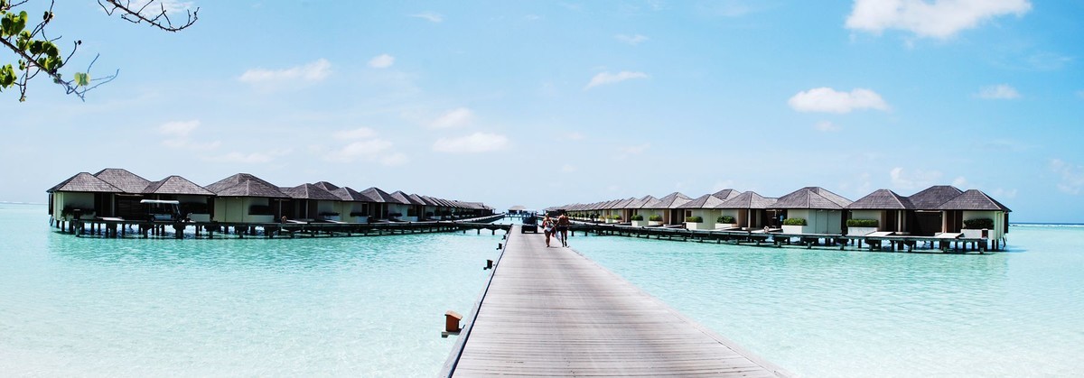 #尼康Z8# 我与尼康相机的情缘