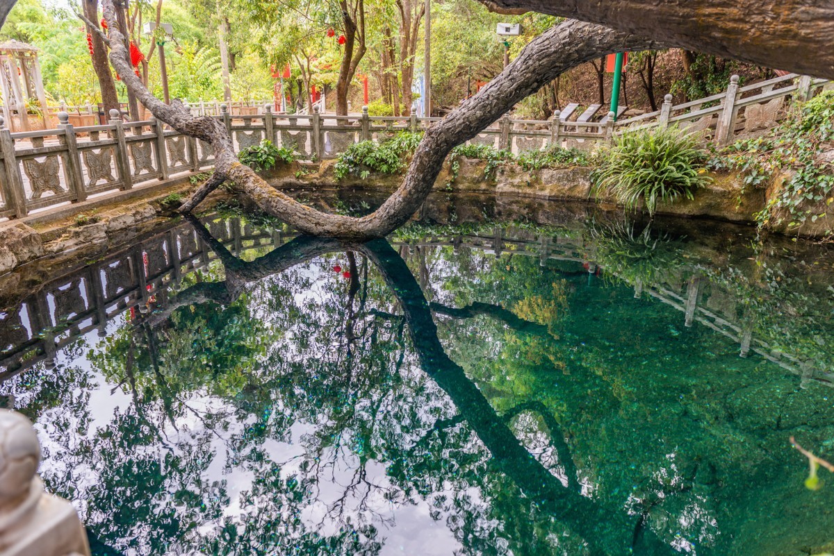 自驾游20230502沙溪古镇、蝴蝶泉