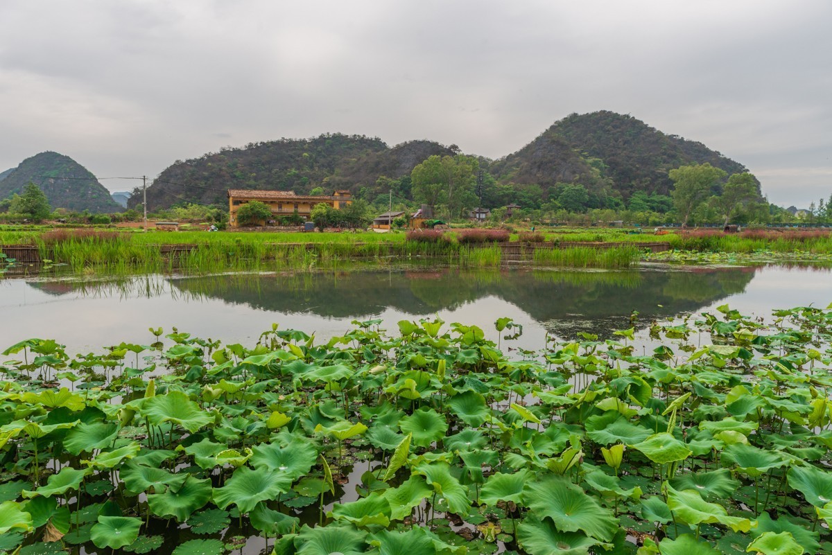 自驾游20230514普者黑