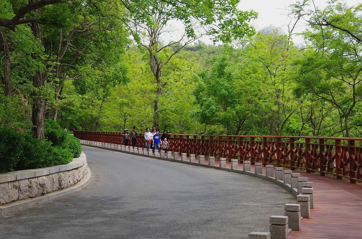 青岛太平山绿道-15P