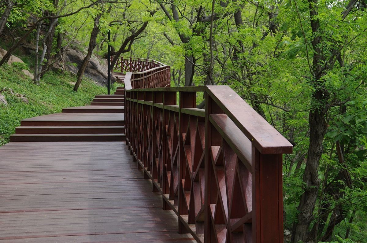 青岛太平山绿道-15P