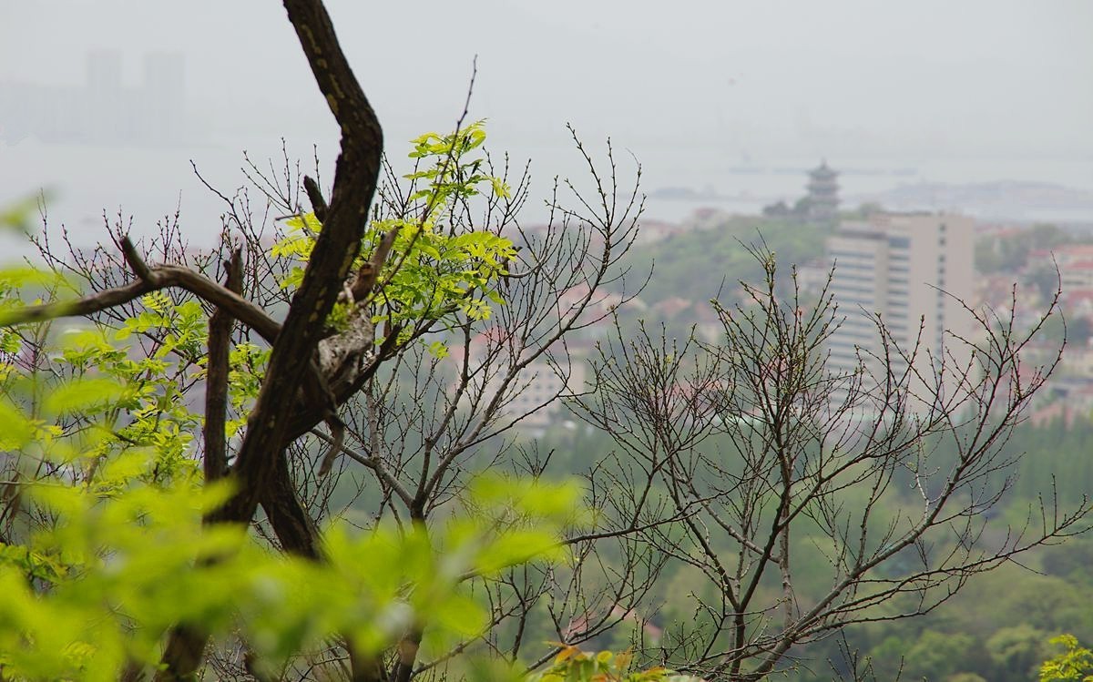 青岛太平山绿道-15P