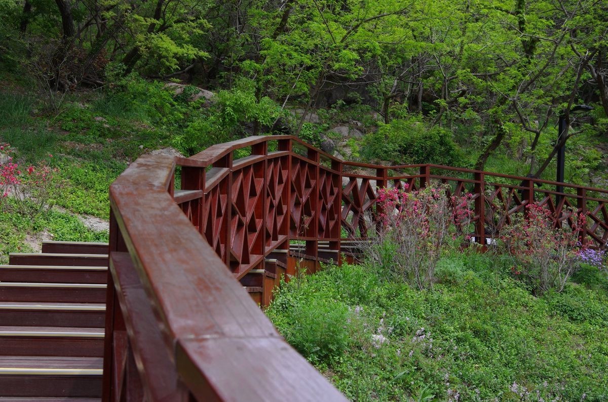 青岛太平山绿道-15P