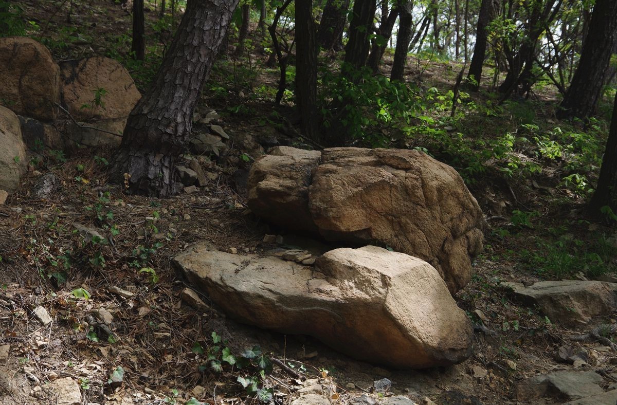 青岛太平山绿道-15P