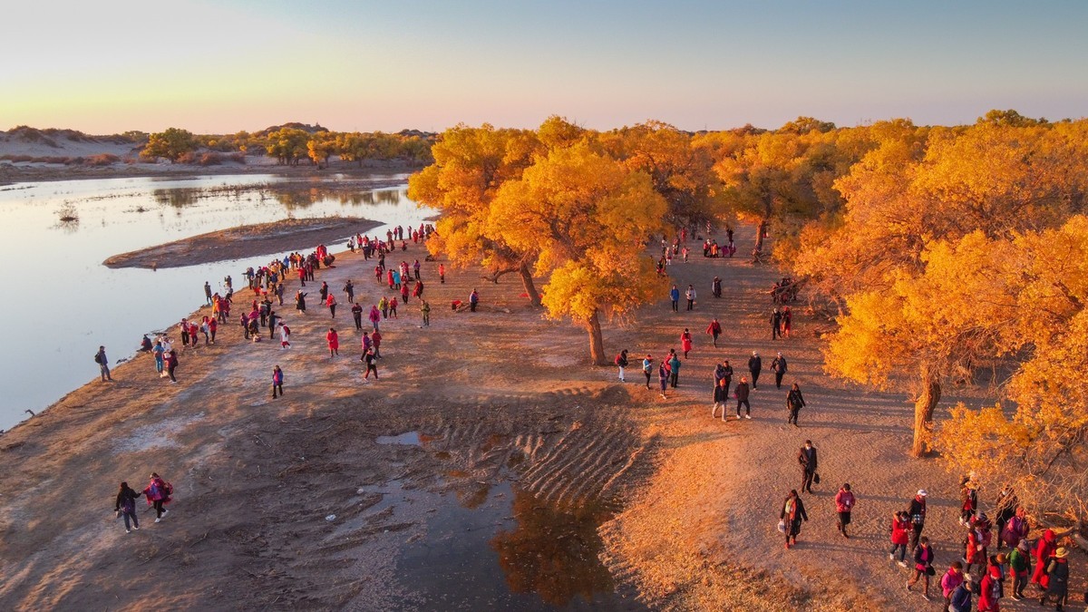 鸟瞰额济纳胡杨林二道桥