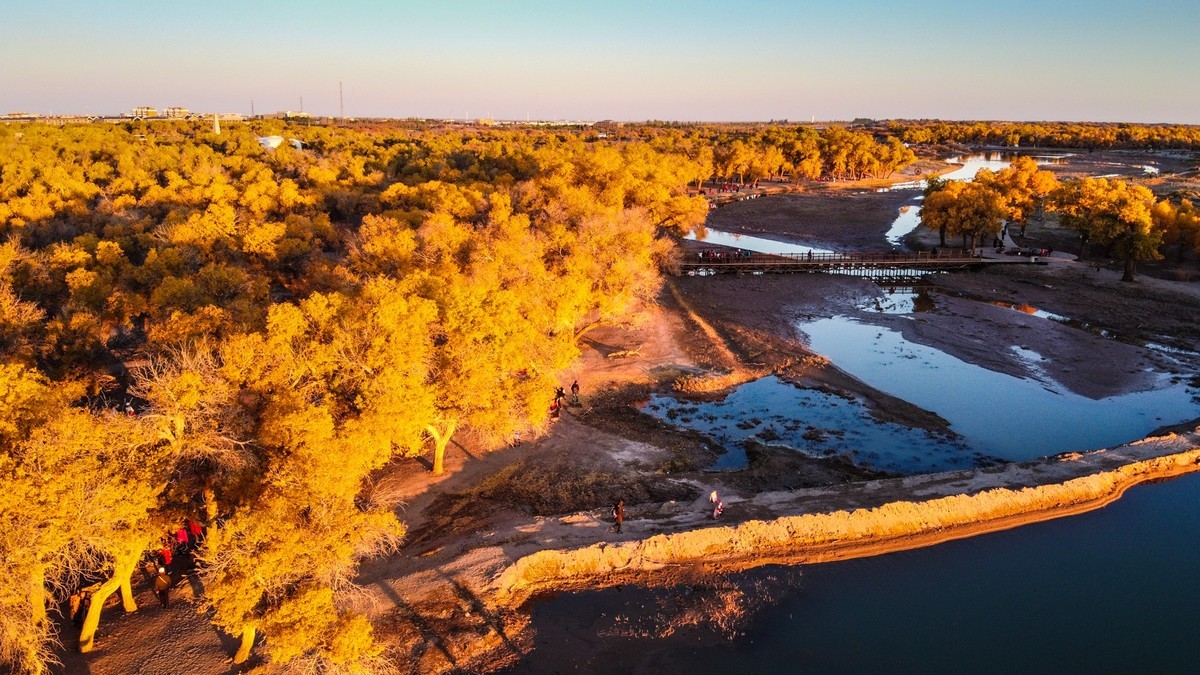 鸟瞰额济纳胡杨林二道桥