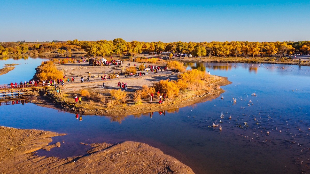 鸟瞰额济纳胡杨林二道桥