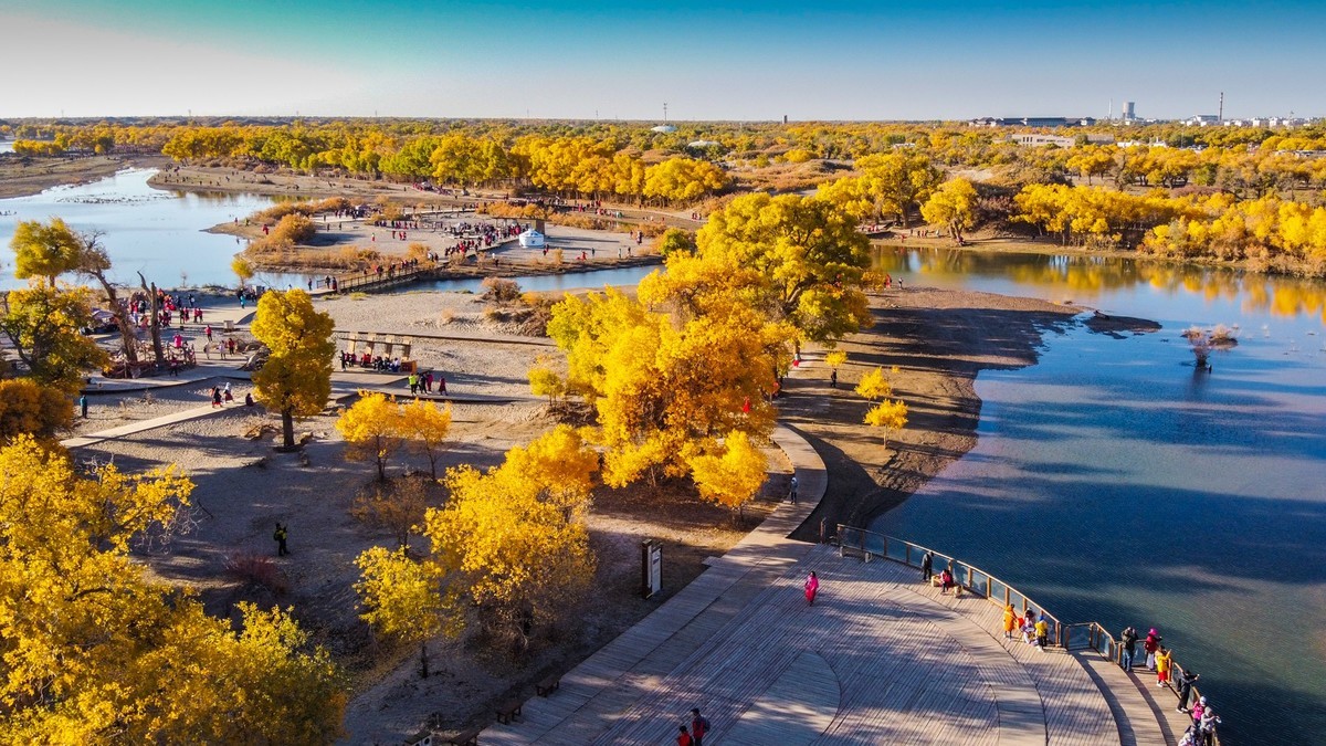 鸟瞰额济纳胡杨林二道桥