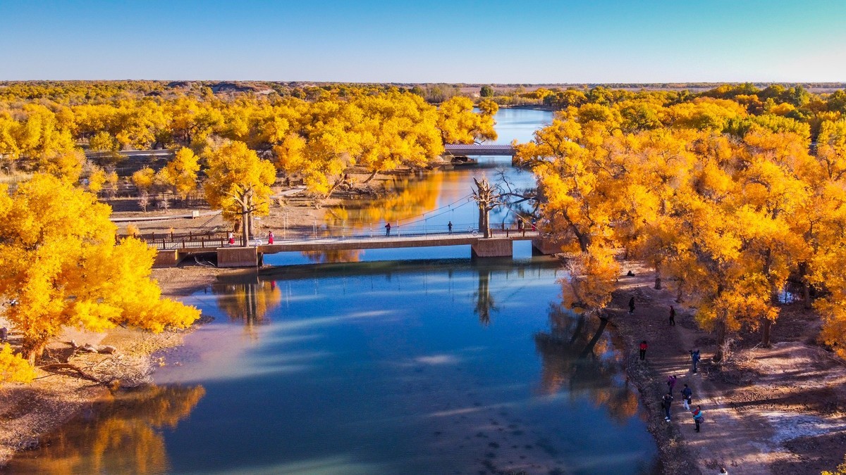 鸟瞰额济纳胡杨林二道桥