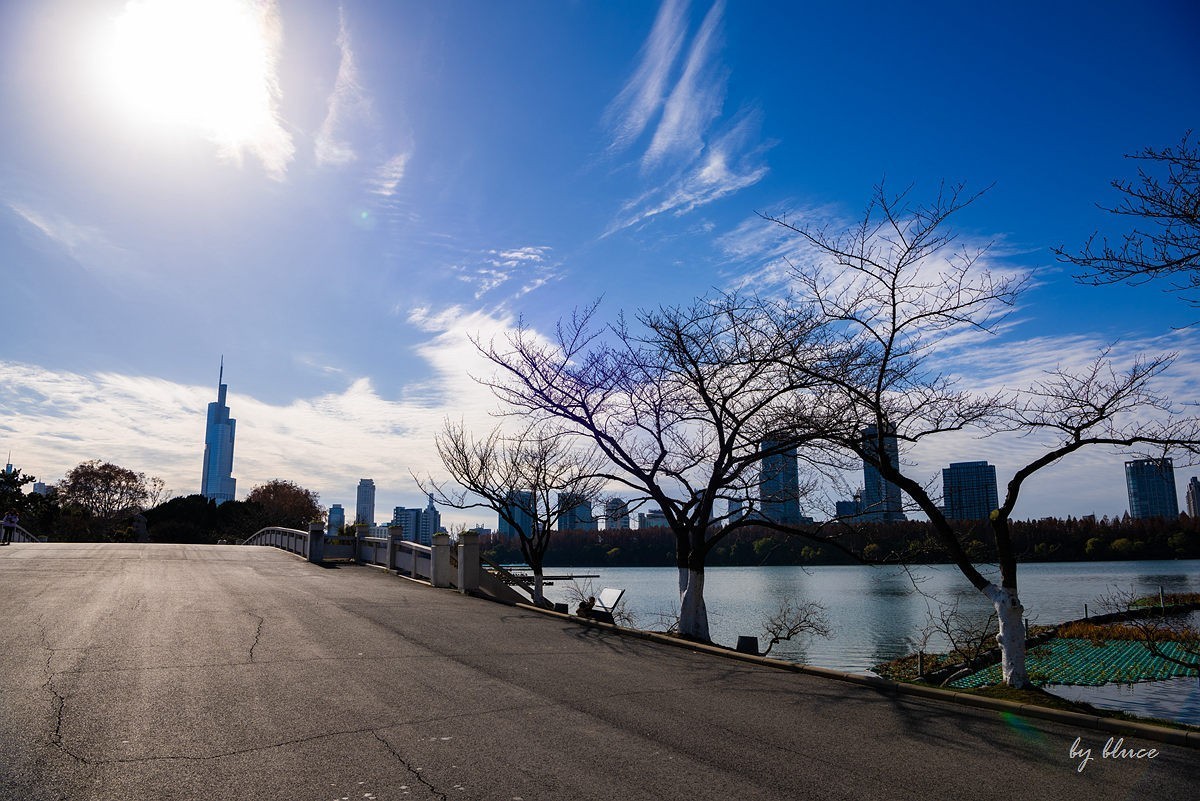 冬日玄武湖（4）