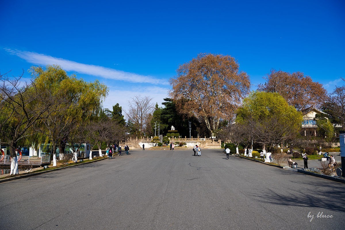 冬日玄武湖（4）