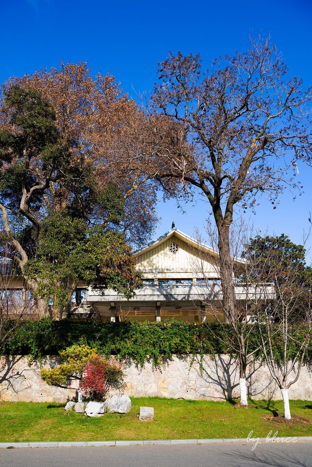 冬日玄武湖（4）