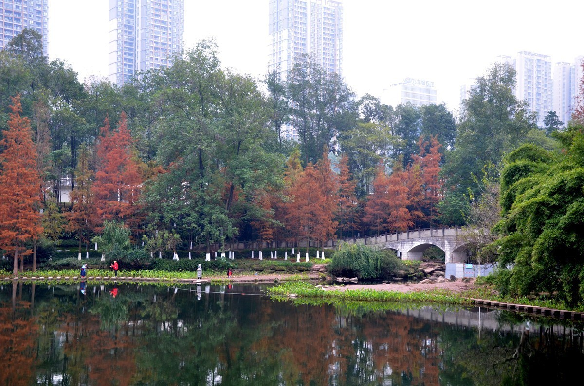 冬季彩云湖湿地公园(一)