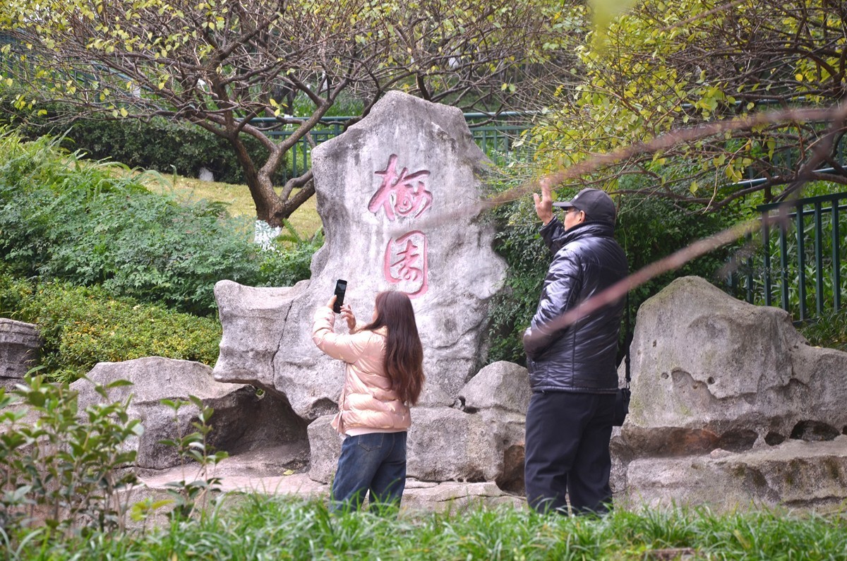 冬季彩云湖湿地公园(一)