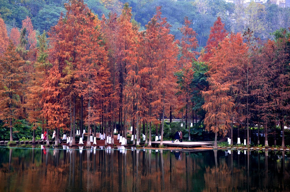 冬季彩云湖湿地公园(一)