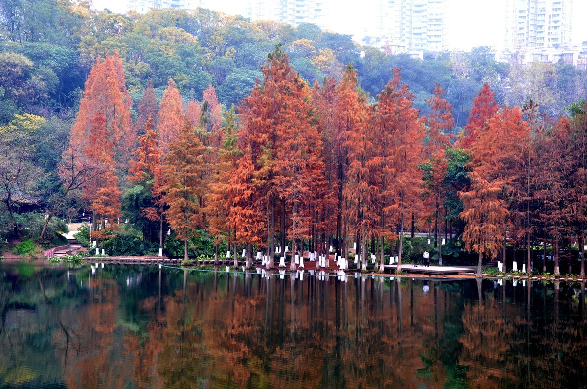 冬季彩云湖湿地公园(一)