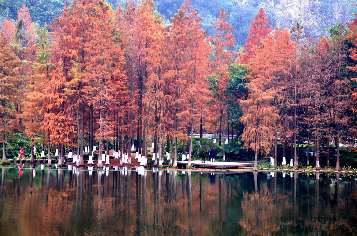 冬季彩云湖湿地公园(一)