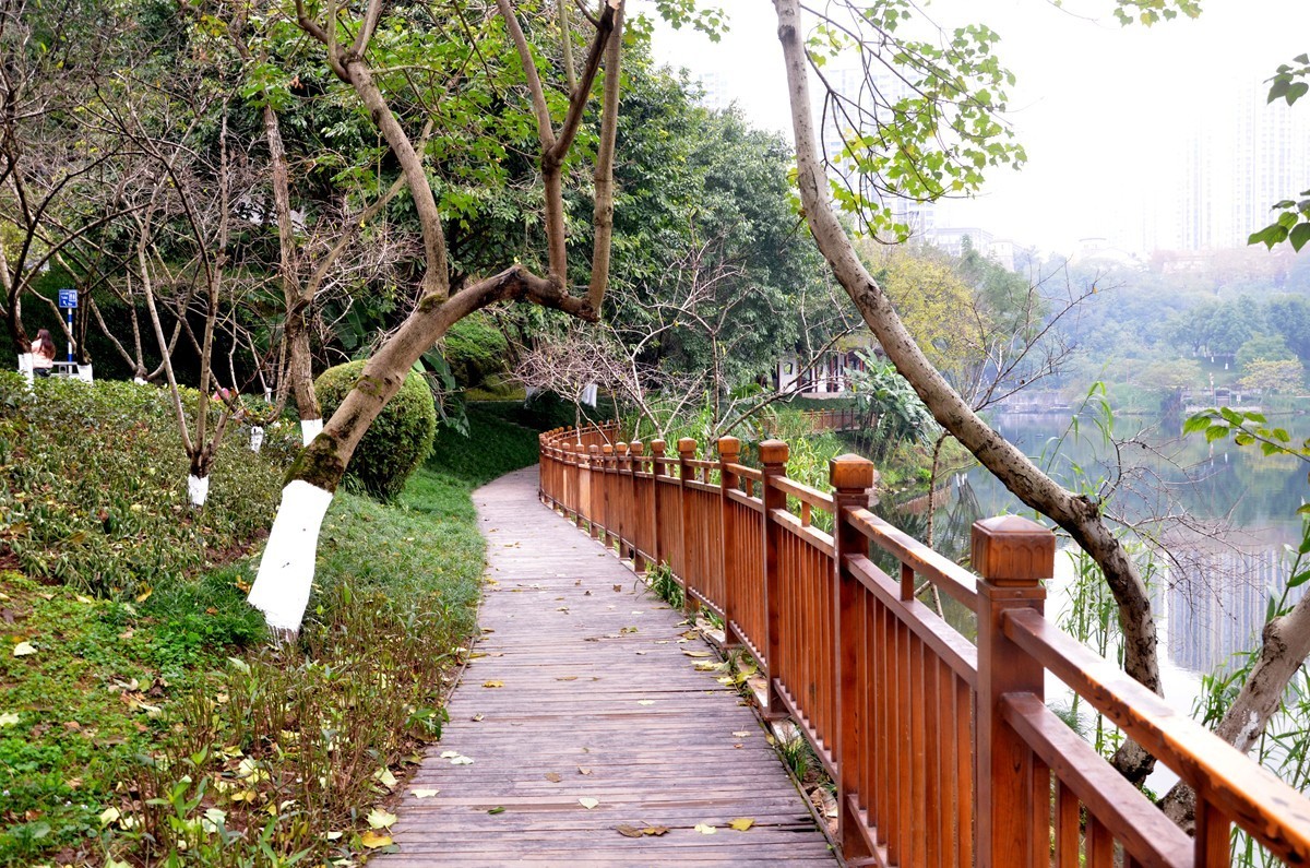 冬季彩云湖湿地公园(一)