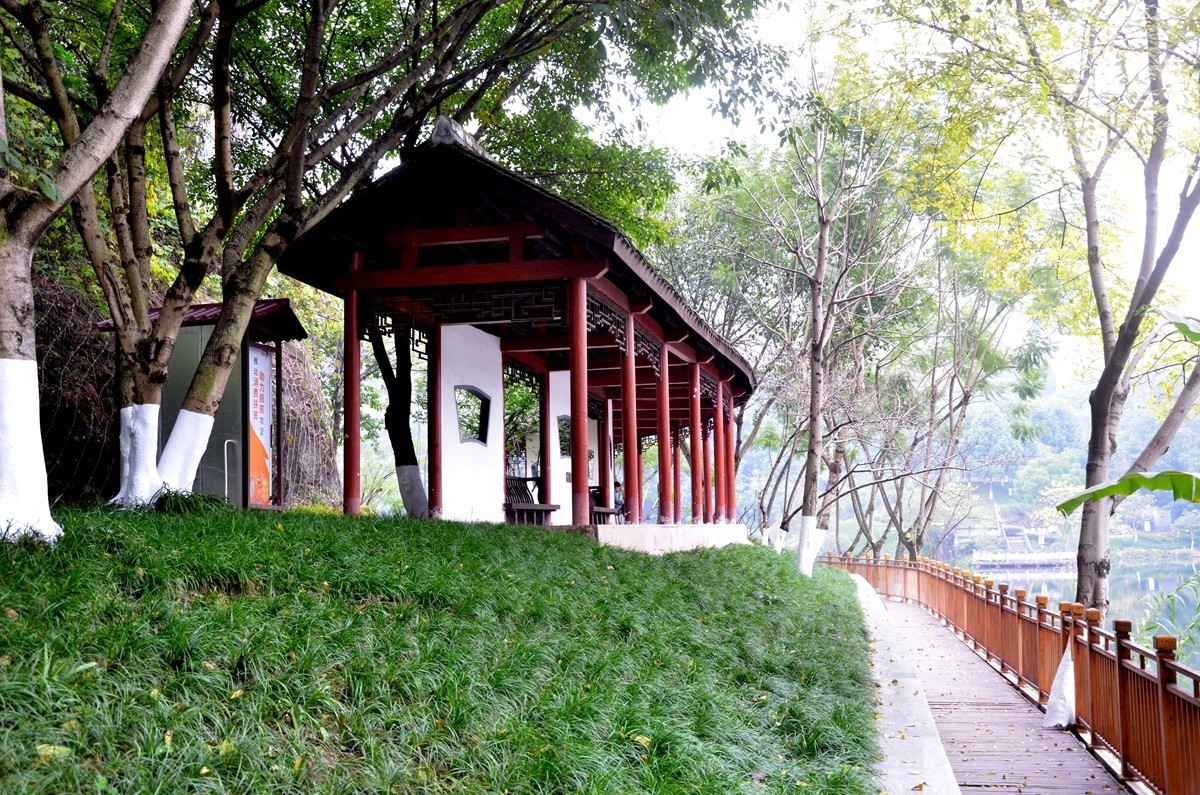 冬季彩云湖湿地公园(一)