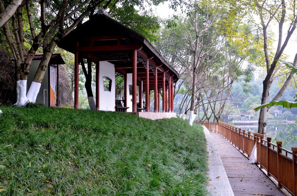 冬季彩云湖湿地公园(一)